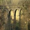 images/village-gallery/gallery-2/23_downham_railway_viaduct.jpg